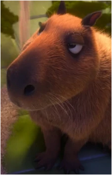 Chispi's image
