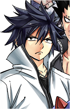 Image 30 of Gray Fullbuster