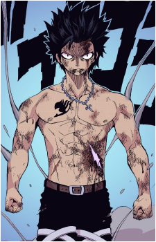 Image 15 of Gray Fullbuster