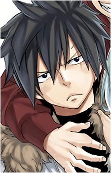Image 11 of Gray Fullbuster