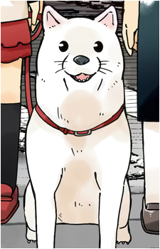 Maru-san's image
