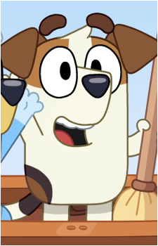 Jack Russell {Bluey}