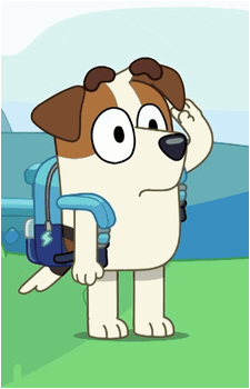 Jack Russell {Bluey}