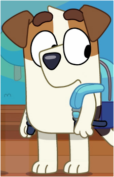 Jack Russell {Bluey}