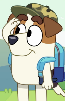 Jack Russell {Bluey}
