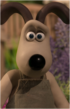 Image 22