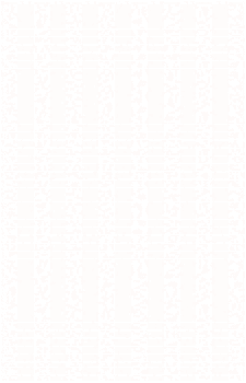 Image 48