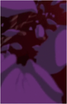 Arachne Gorgon