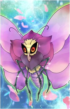 Rose Papillon's image