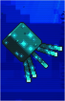 Squid