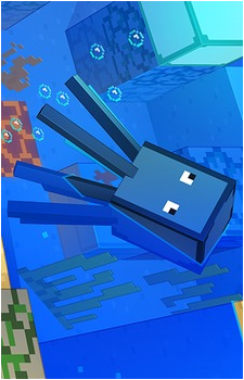 Squid