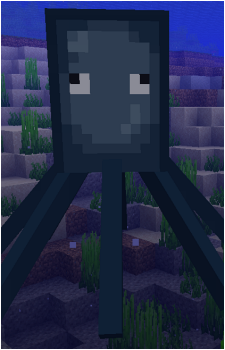 Squid's image