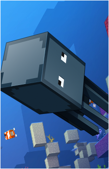 Squid