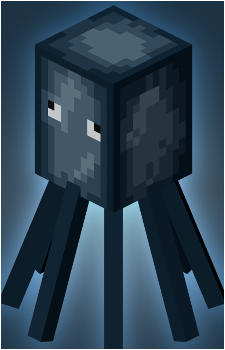 Squid