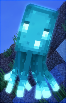 Squid