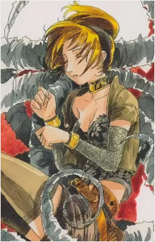 Koudelka Iasant