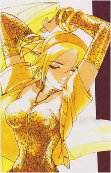 Koudelka Iasant