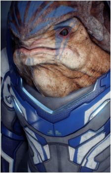 Image 7 Image 7