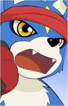 Gaomon