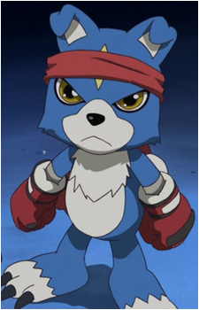 Gaomon