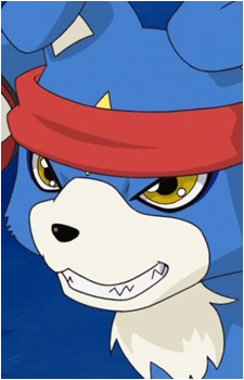 Gaomon