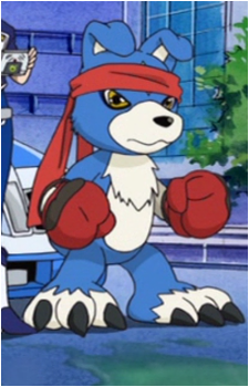 Gaomon