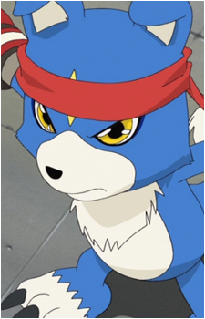 Gaomon