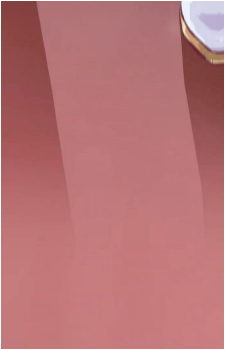 Image 30