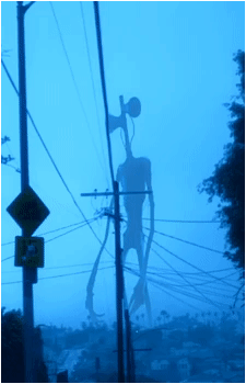 Image 15