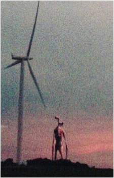 Image 13