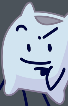 Pillow's image