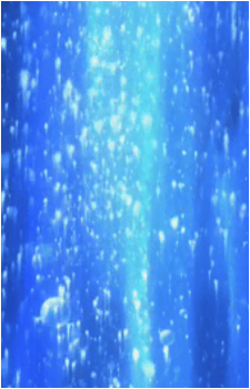 Image 35 Image 35
