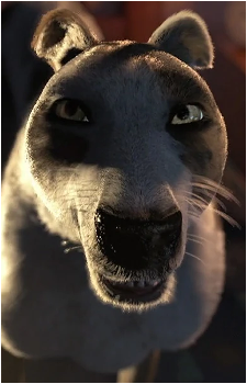 Abby {RotG}'s image