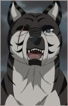 Kurotora's image