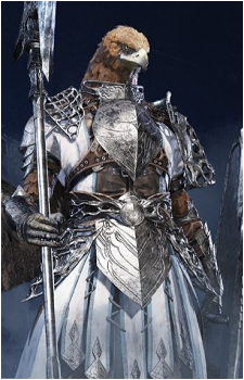 Guardian's image