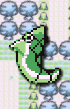Image 20