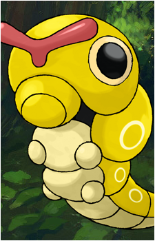 Caterpie