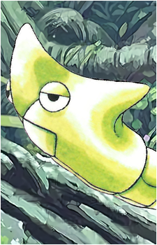 Caterpie