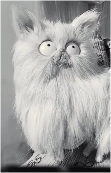 Mr. Whiskers's image