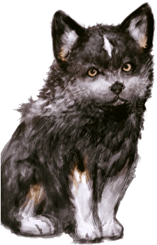 Image 3 Image 3