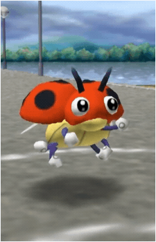 Image 39