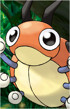 Ledyba's image