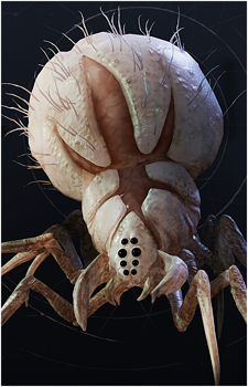 Albino Wyyyschokk's image