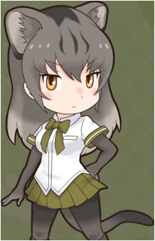 Jaguarundi