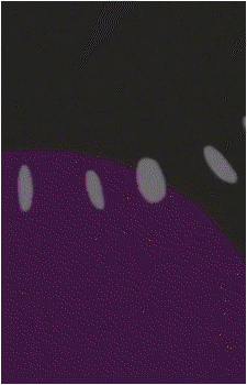 Image 28