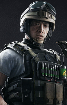 Lesion's image
