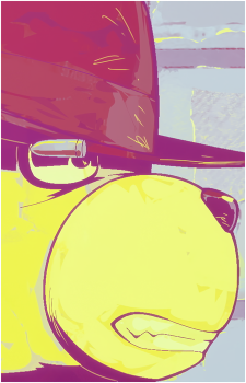 Image 30