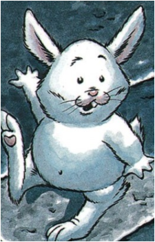 Image 8 Image 8