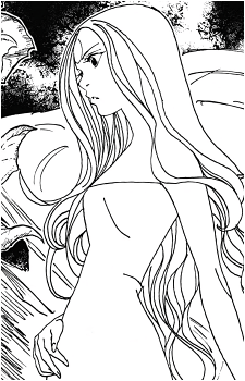 Image 31
