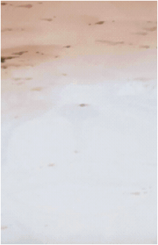 Image 14